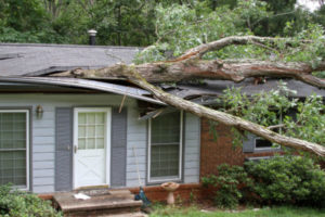 Storm Damage Repair Burleson TX